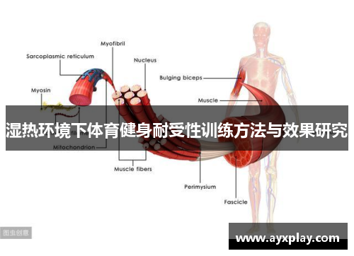 湿热环境下体育健身耐受性训练方法与效果研究