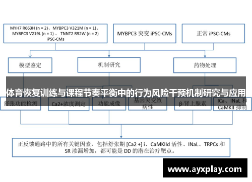 体育恢复训练与课程节奏平衡中的行为风险干预机制研究与应用